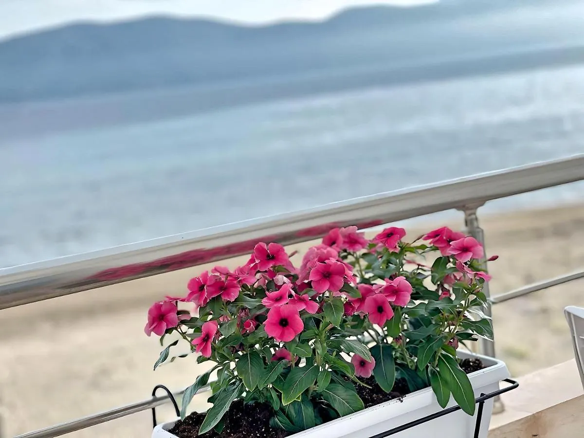 Seaview Apartments Rental Vlore