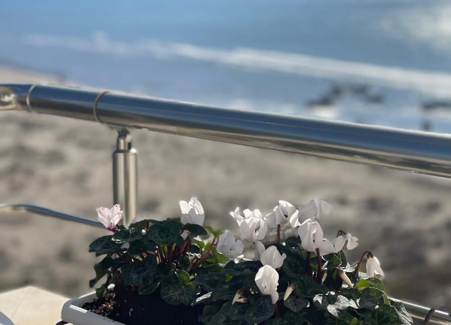 Seaview Apartments Rental Vlore